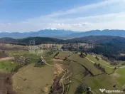 Teren intravilan în Poiana Mărului, 3.791 mp cu priveli...