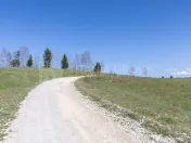 Teren intravilan în Poiana Mărului, 3.791 mp cu priveli...