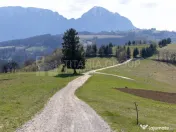 Teren intravilan în Poiana Mărului, 3.791 mp cu priveli... 