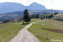 Teren intravilan în Poiana Mărului, 3.791 mp cu priveli...