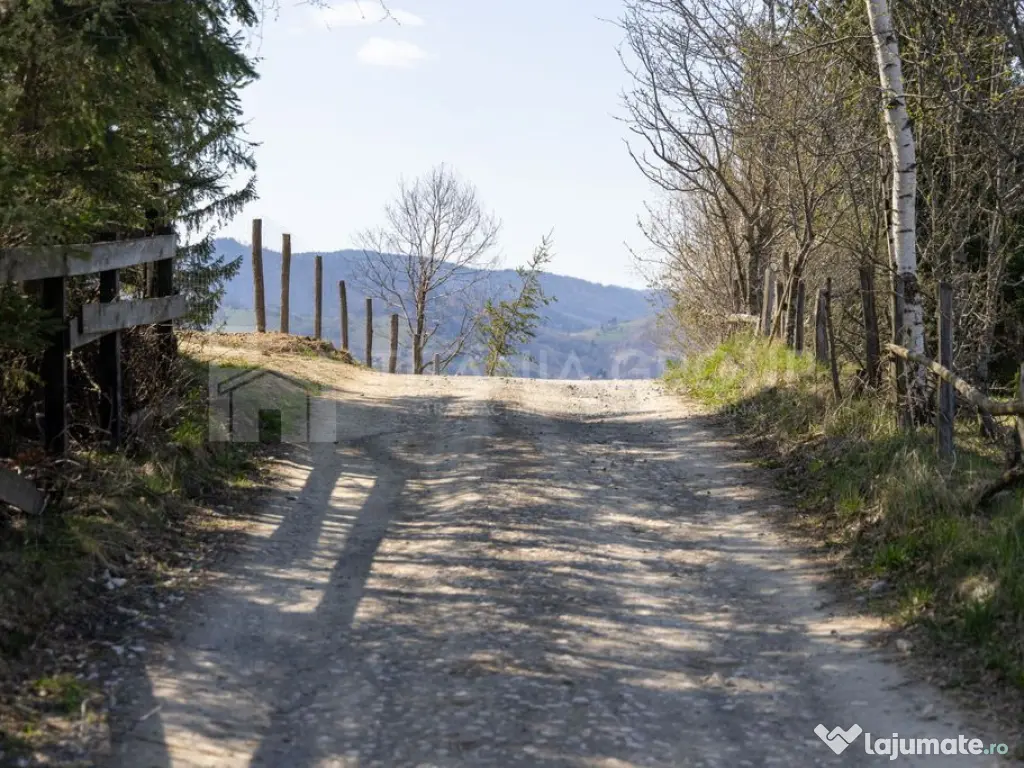 Teren intravilan în Poiana Mărului, 3.791 mp cu priveli...