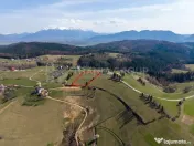 Teren intravilan în Poiana Mărului, 3.791 mp cu priveli... 