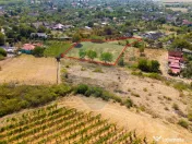 Miniș- destinația ideală pentru o resedință de lux ?... 