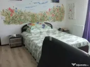 Casa 3 camere in Trivale | str Campului | Mobilata si Utilat 