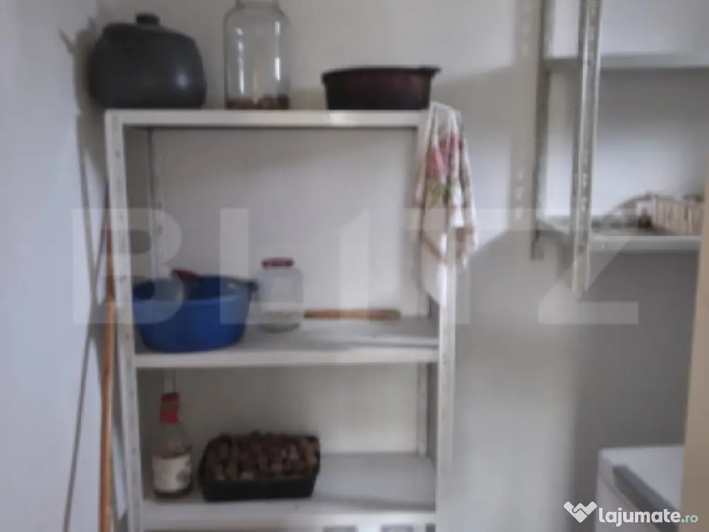 Casa cu 3 camere, curte verde si spatioasa