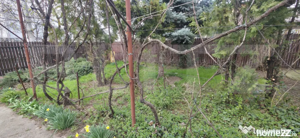 Casa cu 3 camere, curte verde si spatioasa 400 mp,zona Barie - Ploiesti (Prahova)
