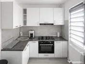 Inchiriere Garsoniera moderna, zona Vest - Penes Curcanul, 