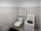 Inchiriere Garsoniera moderna, zona Vest - Penes Curcanul, 