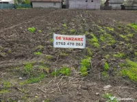 Teren intravilan 1000mp Movilita 40 km de Bucuresti 