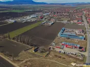 FILM! 30.000mp teren intravilan, Central, Halchiu, Brasov 