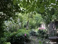 Casă +teren de vânzare Oreavul ! 