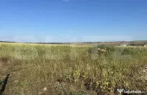 Teren intravilan, suprafata 11500 mp, zona Marghita