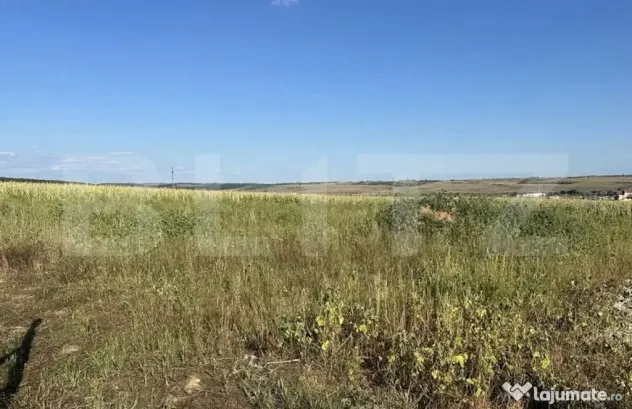 Teren intravilan, suprafata 11500 mp, zona Marghita