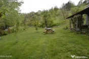 Topoloveni - Casa cu teren 1500 mp langa padure, garaj, a... 