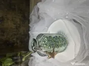 Set handmade pentru interior 