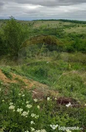 Teren 1826mp de vânzare în zona Gheorghe Doja, Oradea 