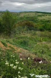 Teren 1826mp de vânzare în zona Gheorghe Doja, Oradea 