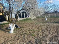 Teren municipiul Bacau 