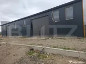 Hală de inchiriat! 