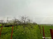 Teren intravilan 4447 mp, Pielesti. 28 ml deschidere 