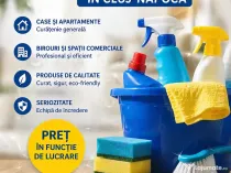 Curățenie la domiciliu