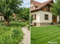 Tuns Gazon și Defrișări Terenuri