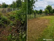 Tuns Gazon și Defrișări Terenuri 