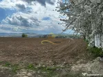 De vanzare doua loturi de teren in Fantanele-Bacau
