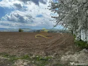 De vanzare doua loturi de teren in Fantanele-Bacau 