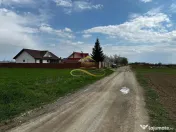 De vanzare doua loturi de teren in Fantanele-Bacau 