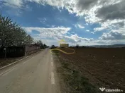 De vanzare doua loturi de teren in Fantanele-Bacau 