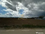 De vanzare doua loturi de teren in Fantanele-Bacau 