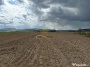 De vanzare doua loturi de teren in Fantanele-Bacau 