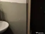 Spatiu comercial - 20 mp Lapus 