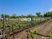 Teren in Poienari Apostoli, 21 E/mp, Avantajos, DN1, 34.500 