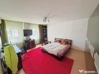 Garsoniera 42 mp, Brazda lui Novac 