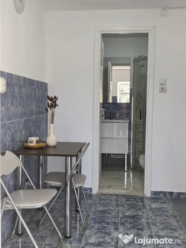 Proprietar,casa renovata,teren 2000 mp deschidere 113 m,Farcasele Olt
