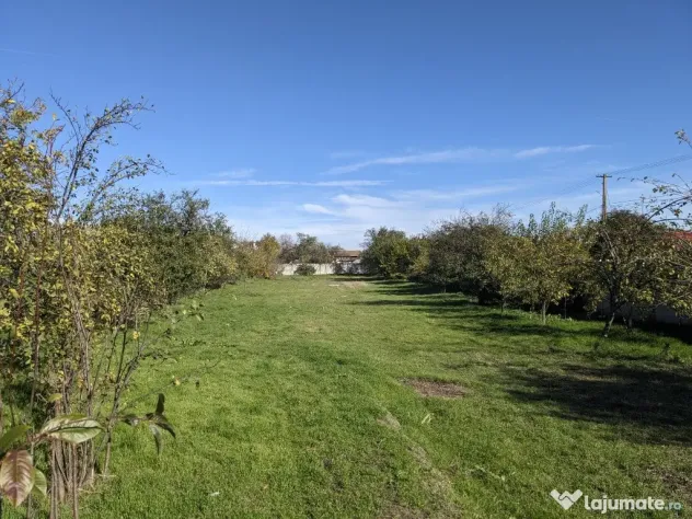 Proprietar,casa renovata,teren 2000 mp deschidere 113 m,Farcasele Olt