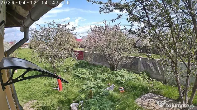 Proprietar,casa renovata,teren 2000 mp deschidere 113 m,Farcasele Olt