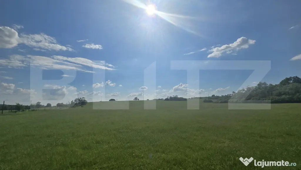 Teren agricol, comasat, apa, curent, 755000 mp, langa autost