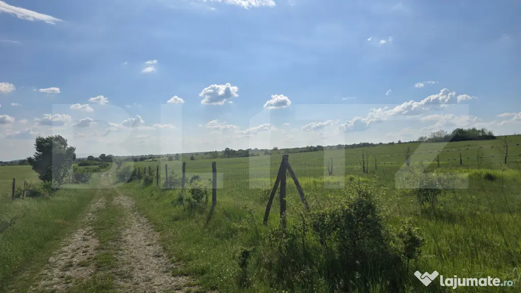 Teren agricol, comasat, apa, curent, 755000 mp, langa autost