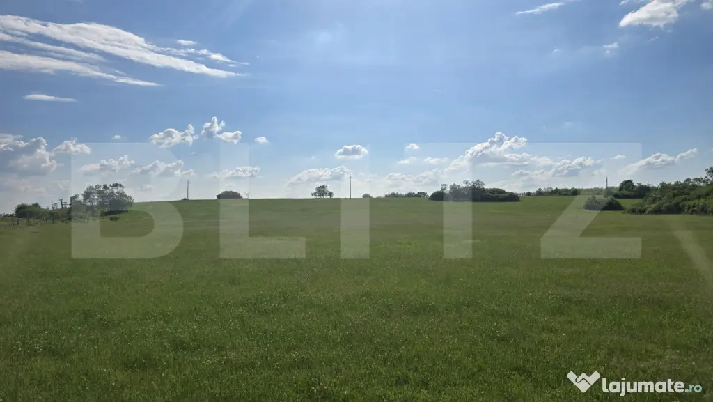 Teren agricol, comasat, apa, curent, 755000 mp, langa autost