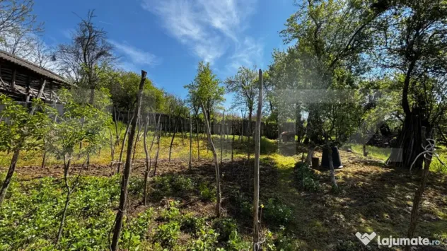 Casă de vacanță, 4200 mp teren, panoramă superbă, sat
