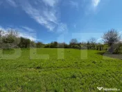 Casă de vacanță 4200 mp teren, panoramă superbă, sat G 
