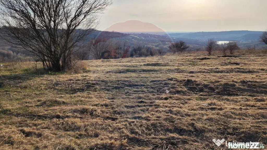 De vânzare teren intravilan, 1.505 mp - Paleu