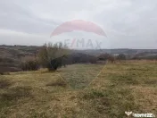 De vânzare teren intravilan, 1.505 mp - Paleu 