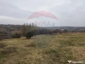 De vânzare teren intravilan, 1.505 mp - Paleu 