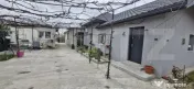 ???? Casă de vânzare cu teren generos – ideală pentru f 