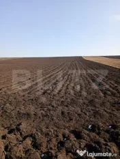 Teren extravilan, 25 ari, Liteni Moara 