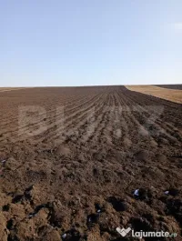 Teren extravilan, 25 ari, Liteni Moara 